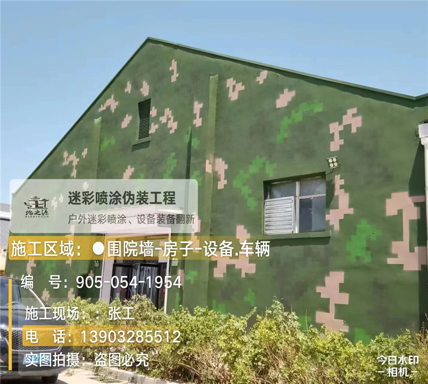 恩施外墙数码迷彩漆施工报价清单（100㎡标准墙面测算）